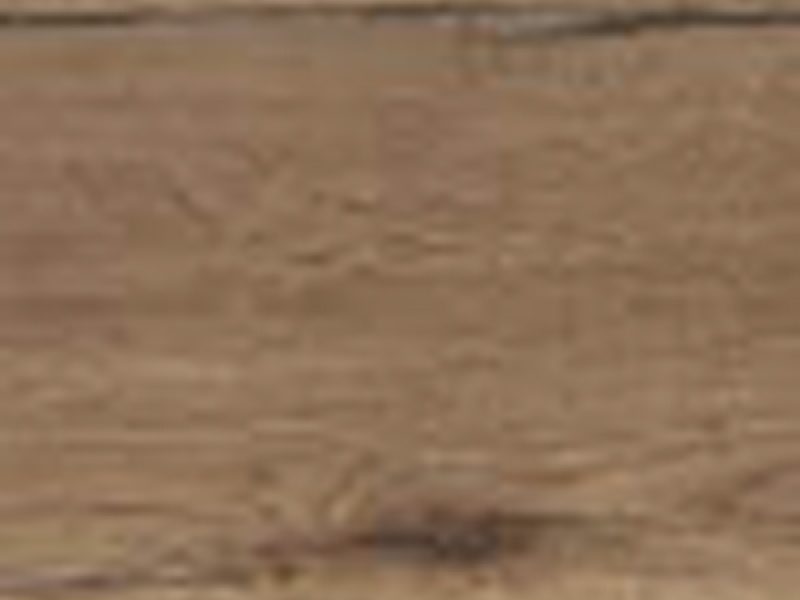 swatch-dorchester-oak